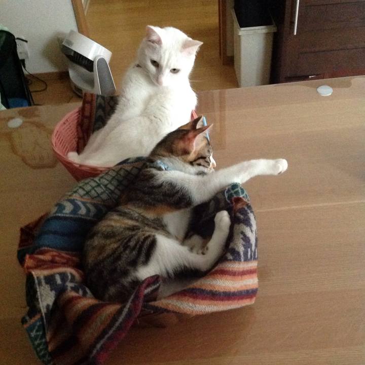 Bbdaadc4 55ae 4c9a b68b 58c542a2c553 1629007954720