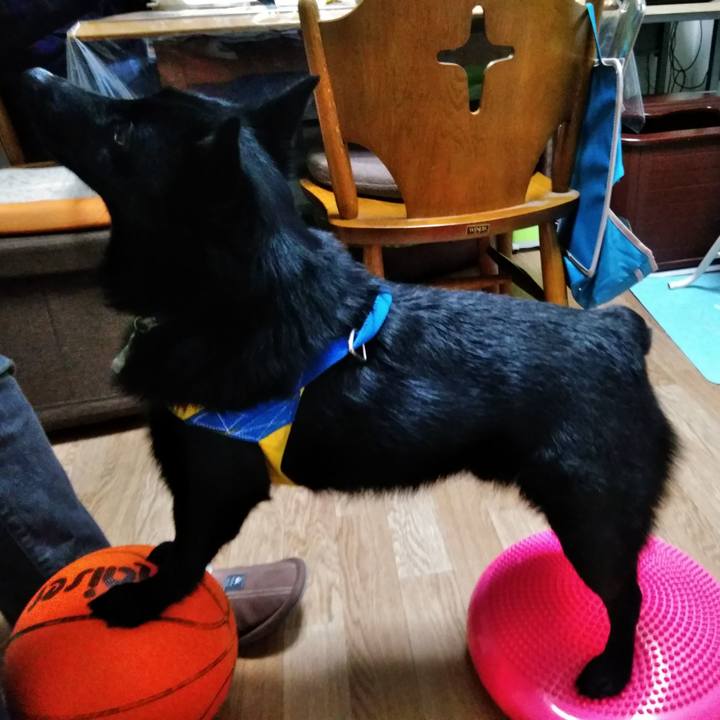 Bbdac94d 2350 4dda 9f32 a670ef642b5e 1583406533107