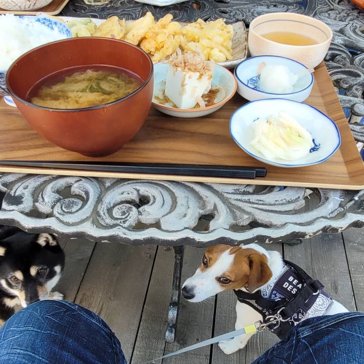 Bbdb0e7f 373f 45e0 8cee 34302b93e265 1715341313515