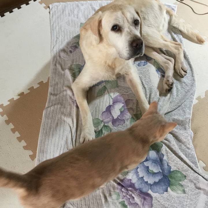 Bbdb74a3 7fe8 4c8e a32f 0f16227ce2bd 1530094099084