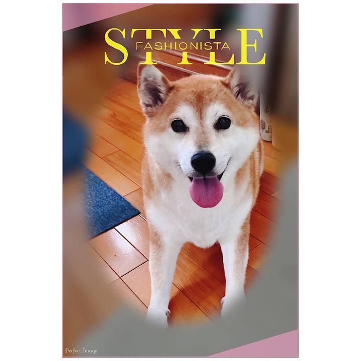 Bbdb780f ed82 4c41 ab24 391f817c6a26 1692662639243