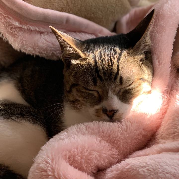 Bbdb7898 c660 4fcd b721 24e47222c2e5 1580778261197