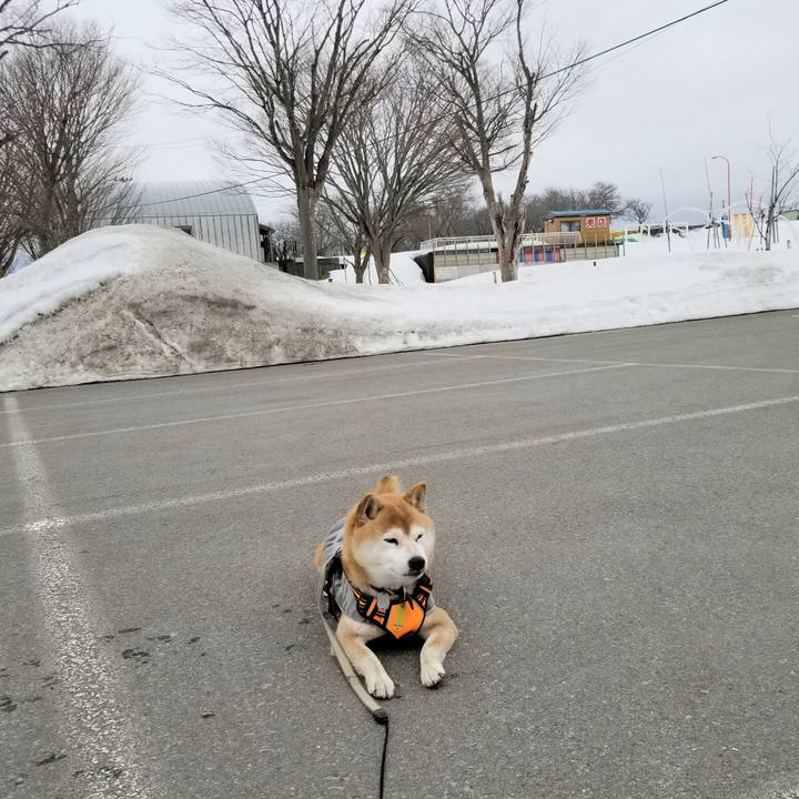 Bbdb8476 4a4e 464b 92ab 45c8370f5e0b 1615172061304