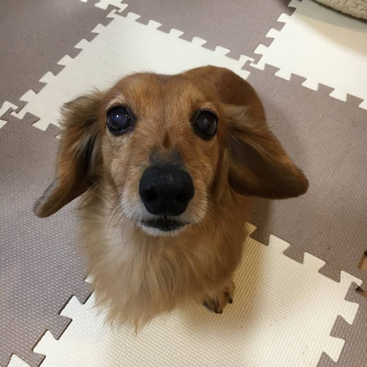 Bbdb92ae 490b 46c8 9b95 78babfc8f5ea 1584793973758