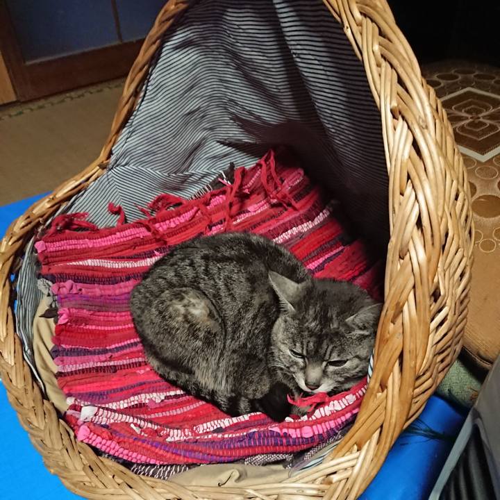 Bbdbe17e 7922 4dd6 8b5b 016f25fb8cb2 1557914328796