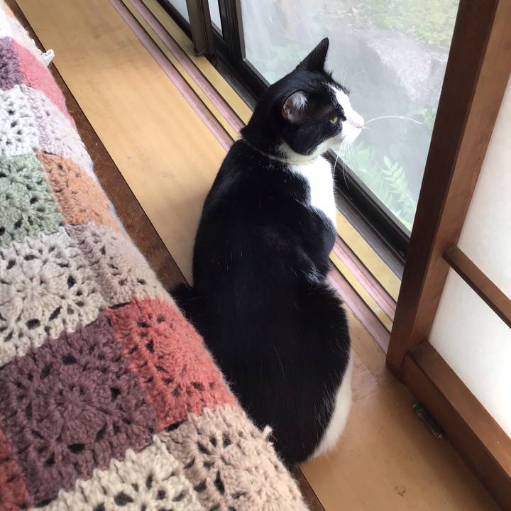 Bbdbea22 3427 48eb a951 a383bc76c65a 1655598650219