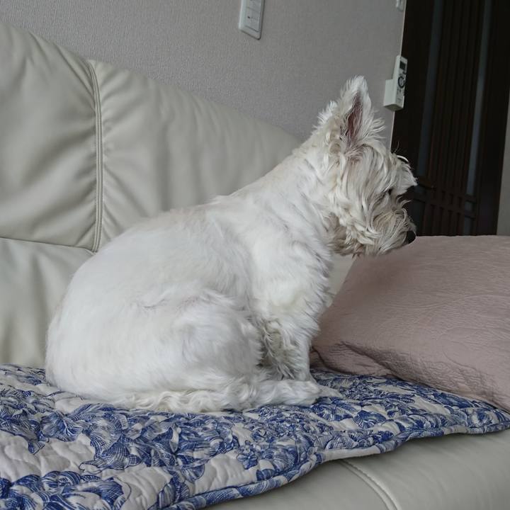 Bbdc2fc1 5a93 44b7 b665 e5bdd70e10c5 1532256120031