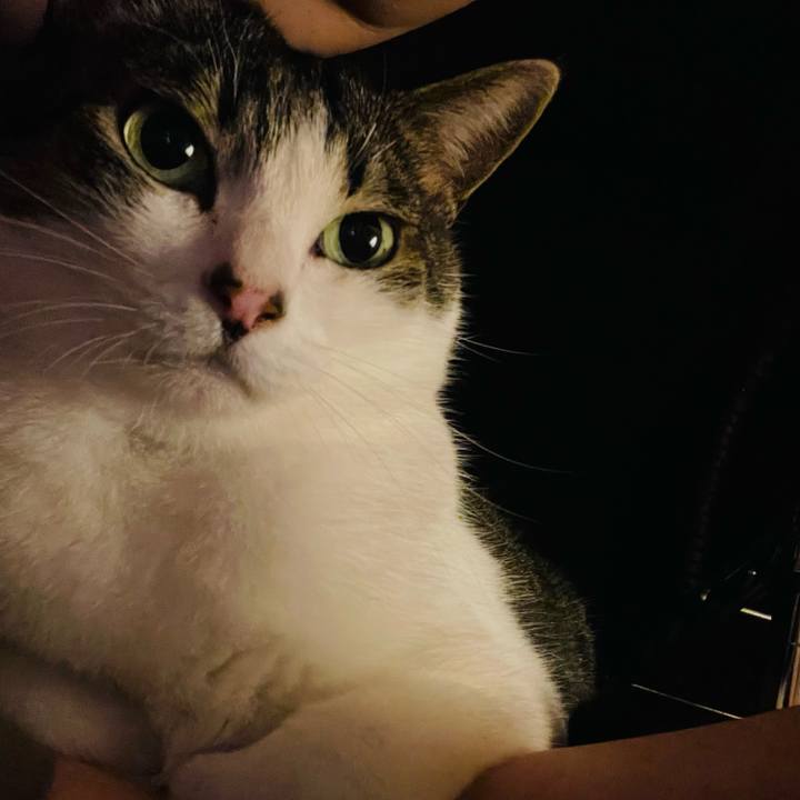 Bbdc60ff cf5e 459e bc35 0bbf972ef363 1759177086858