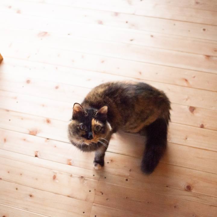 Bbdca698 5fb2 4e22 b947 faa393ae73a5 1580517678094