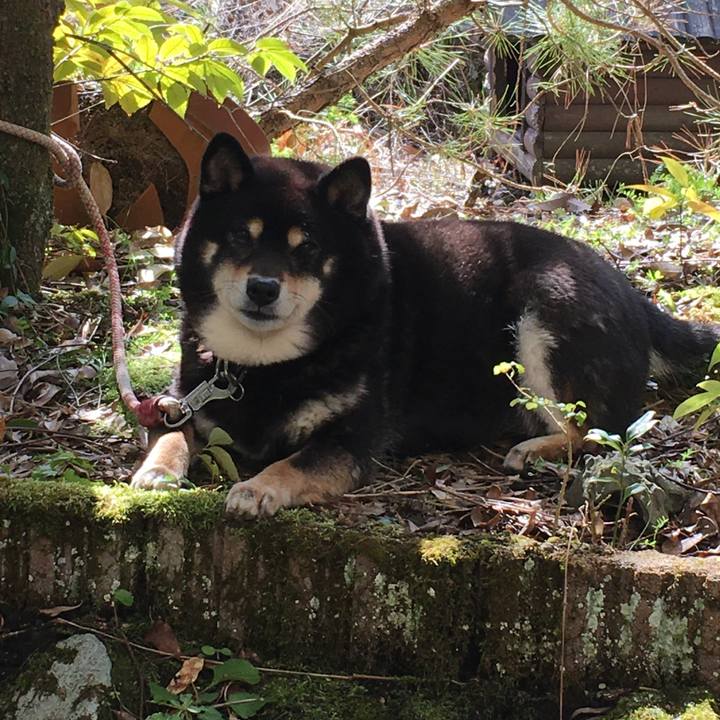 Bbdcb7a6 2015 4b35 b5c1 7aada63d7099 1614487364035