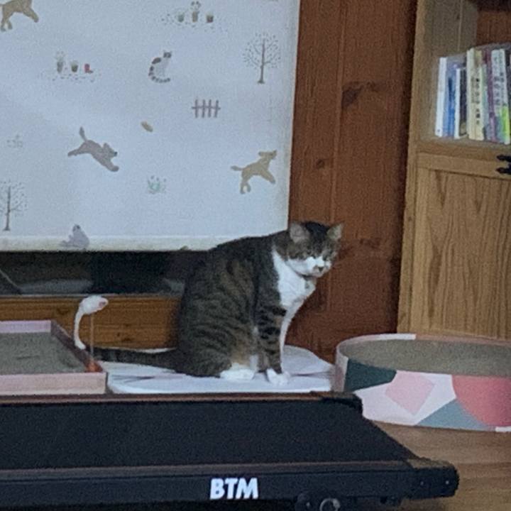 Bbdcca41 54bf 44fc 8412 66960a7d70fa 1626787728302