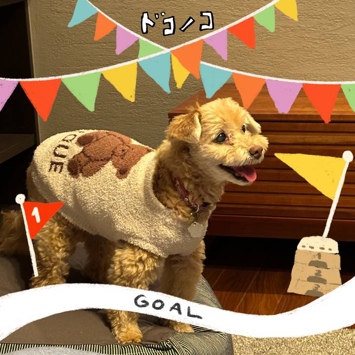 Bbdd00a2 fed7 4504 8e0f ebd3c6599879 1729666357595