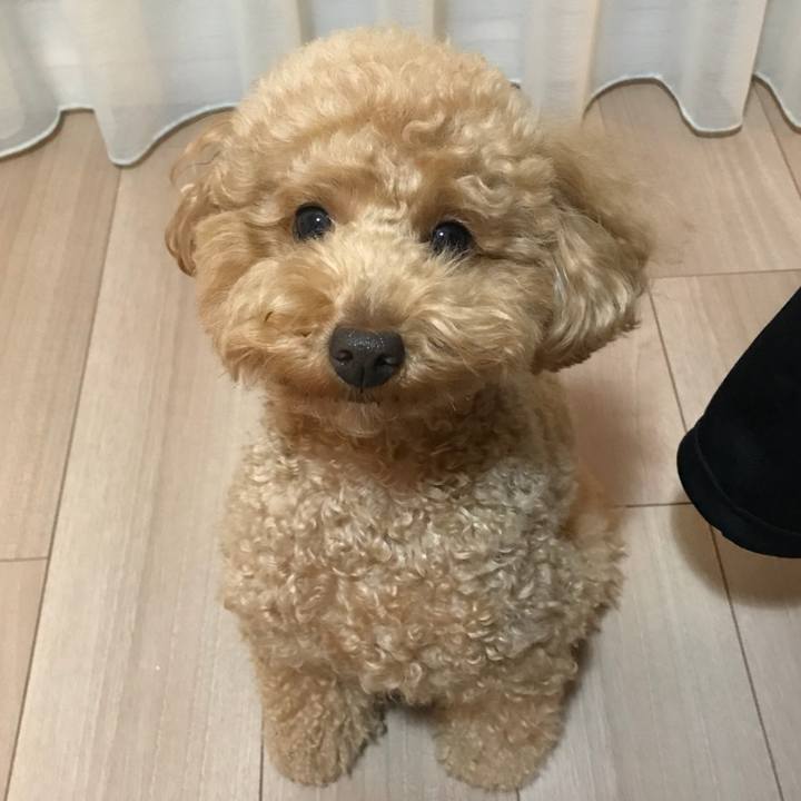 Bbdd041f 9c49 4db9 b47a 2f5477ab600d 1516182606095