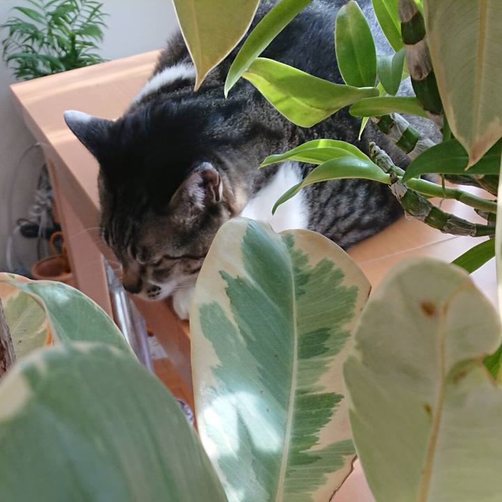 Bbdd15cc 460c 4202 8edf 11cb4e8d4b9d 1553558072420