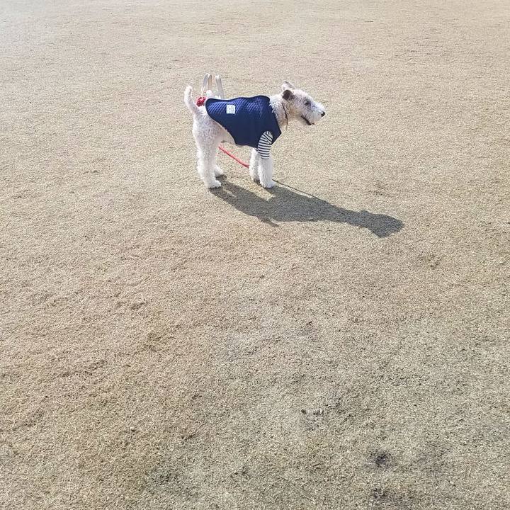 Bbdd17a3 5190 44a6 b3a4 3ff9a500cf53 1583207817447