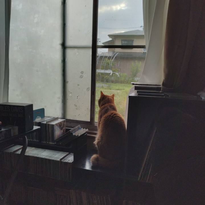 Bbdd4282 5019 4565 9d15 f2e0f1f7f4c1 1688426918425