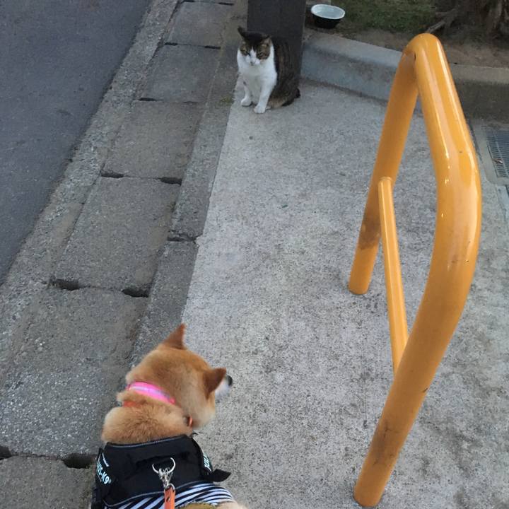 Bbdd4627 7bbc 41ce 97a5 f5e2accb1cf7 1613215608990