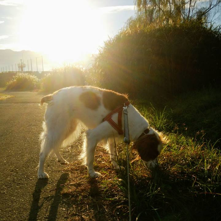 Bbdd49ee 9f58 4b0e 93f9 d8d1cd3a5924 1541034314315