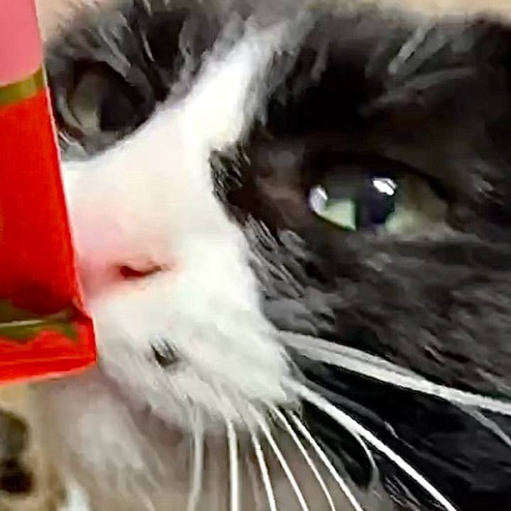 Bbdd5350 d70d 4b28 b005 eeeb1c4d3cee 1732615433984