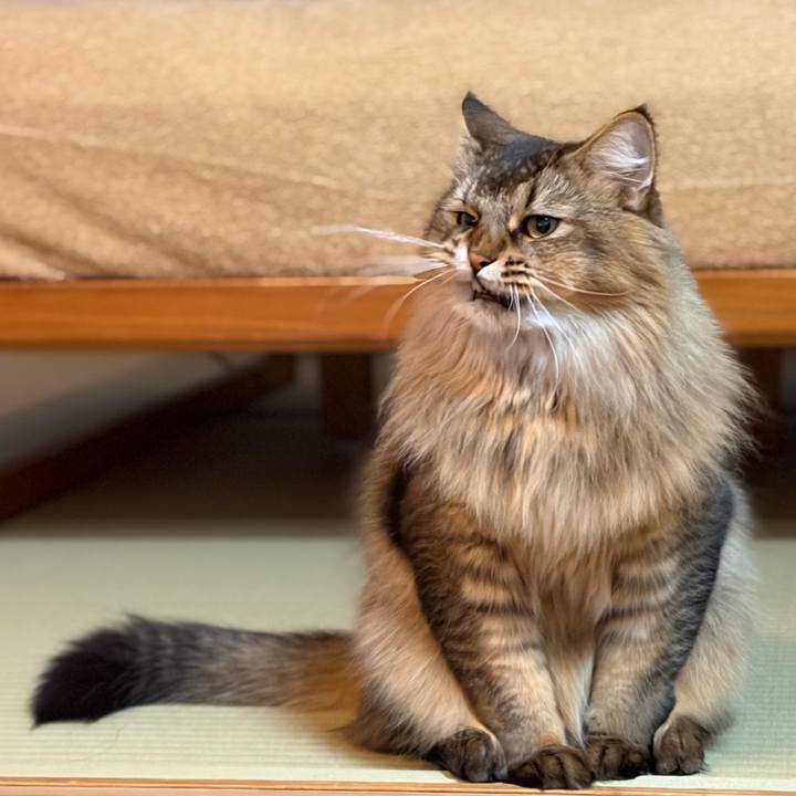 Bbdd58ee 7cf4 4127 b73b 04002e9a6d47 1763417894108