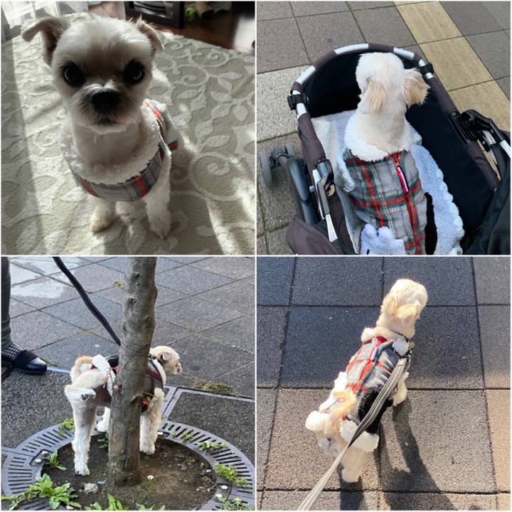 Bbddac64 9021 4c15 91dd c0a68dbc54b7 1575810976515