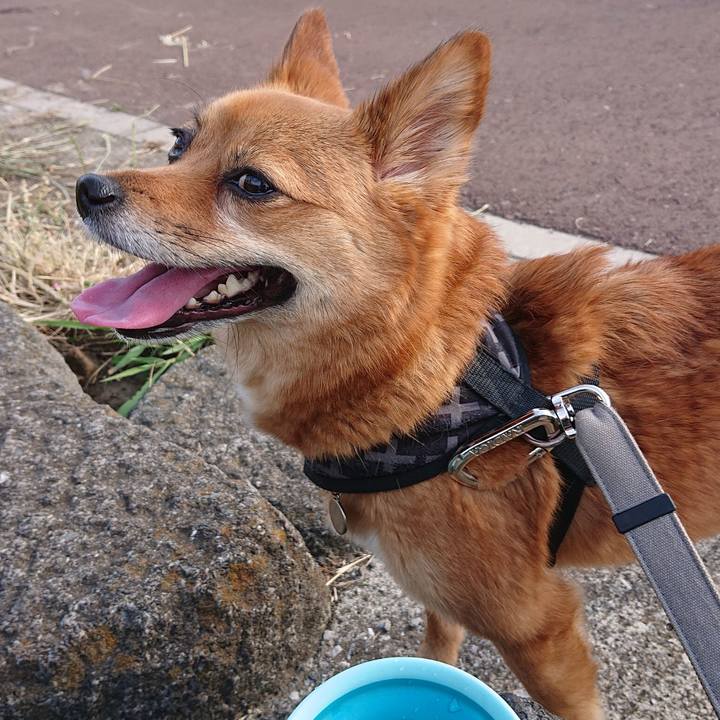 Bbddc87e 9694 4fbc b0a8 06a1cacbda7f 1559561631467