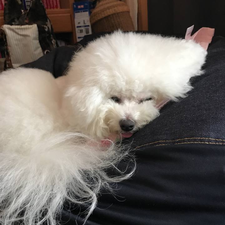 Bbddf293 d500 4aff 84c5 b5f8e5977e77 1532671572805