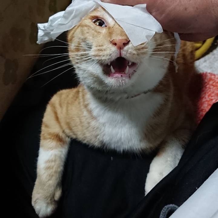 Bbde2275 48a4 4cd3 a4ad 198ac50bb4e5 1573719571823