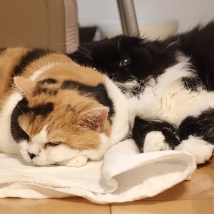 Bbde2a58 ebb4 4296 a608 f2d525e96f38 1541258160556