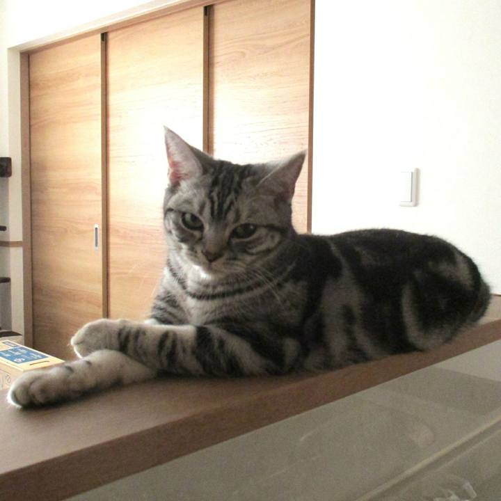 Bbde3fbf 8dd3 45e9 bd6f 10b6bd9aa1aa 1544794350952