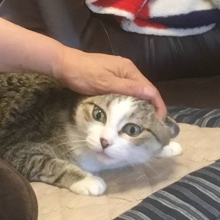 Bbde47ab 5305 409d bbab fac13290d208 1770853463624