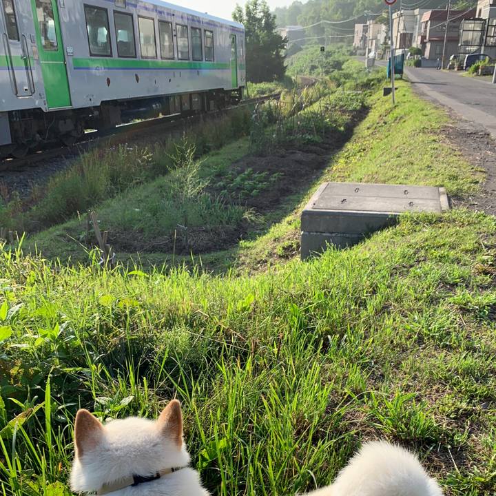 Bbde56bc a38d 49f0 b90b e91705ca0ed3 1561413980060