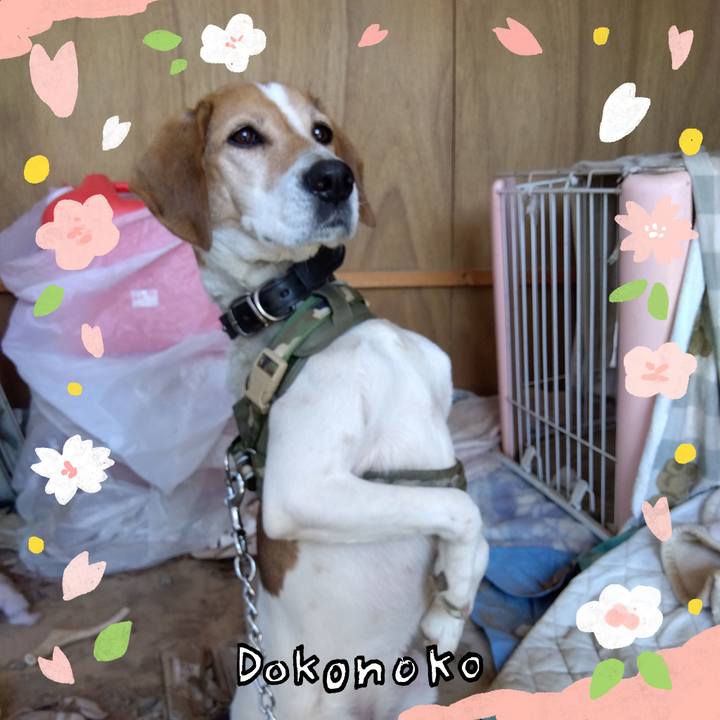 Bbdeb658 63a2 407e a572 56320b96b456 1711077947316