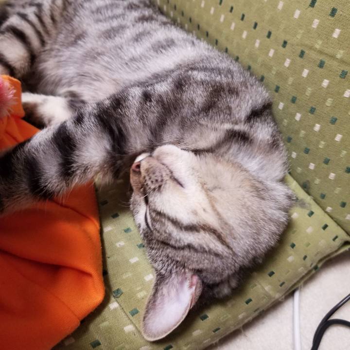 Bbded7fd b843 4695 9663 f74b5a1c5c4d 1671358373573