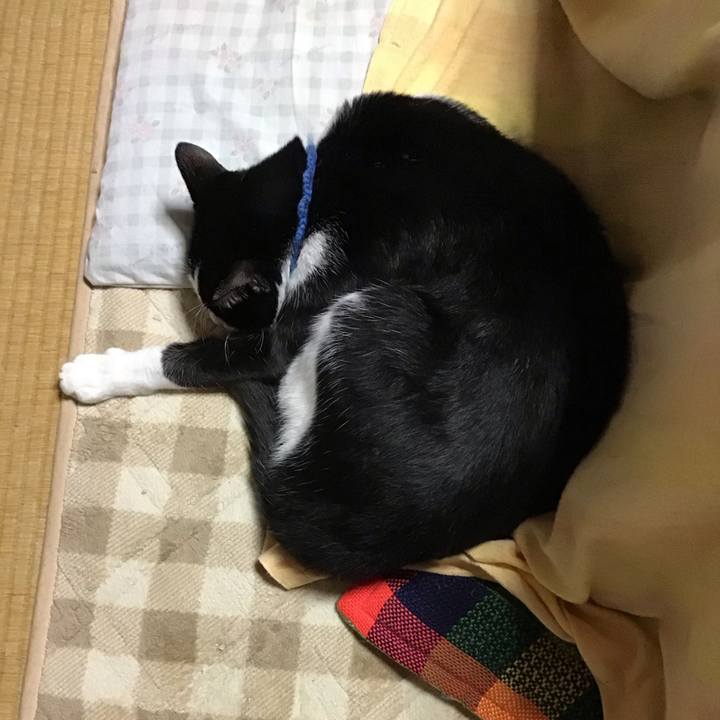 Bbdf11c3 ebc3 4ff4 87a6 3f99b3332471 1702708728829