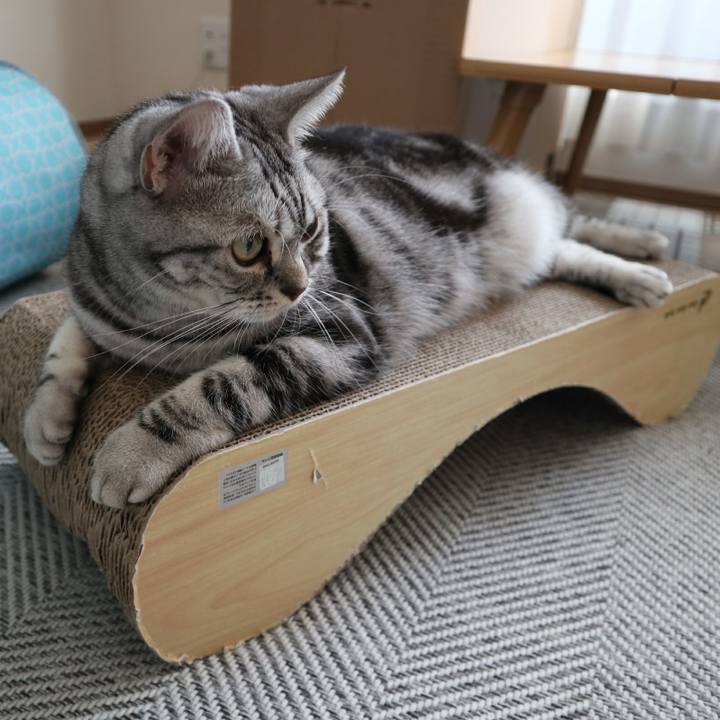 Bbdf25ff 330a 4eb7 95be d8d6026f277f 1598654544941