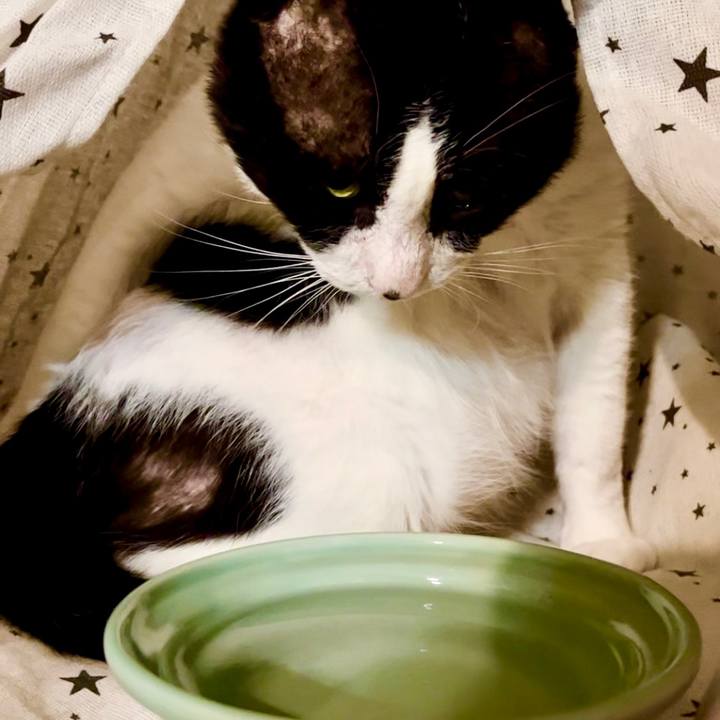 Bbdf31d4 7a42 4d21 b8eb c0c3b4c4922a 1642394607857