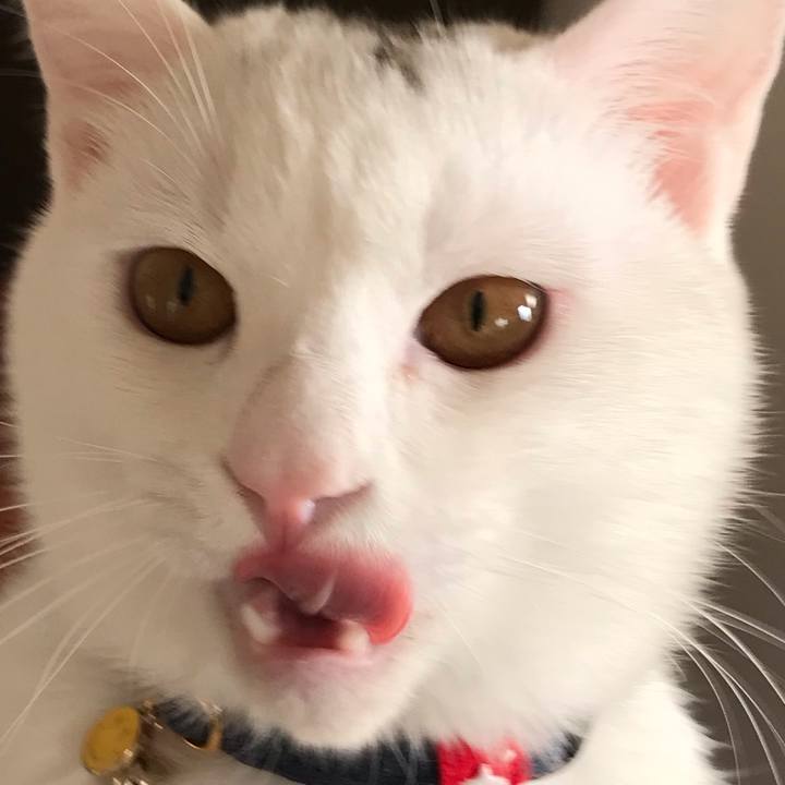 Bbdf691c 0db7 4bfc ad05 0d930c8fe2fa 1580701387548