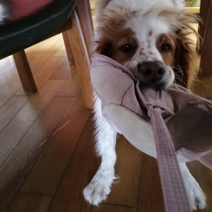 Bbdf7a4e 67ec 4ce7 b8ea 8ec92bc5b8d0 1584057814165