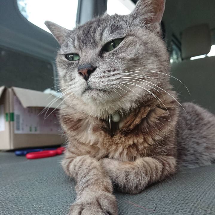 Bbdf8770 ce48 4413 b6e9 0cea0eb02013 1565515353071