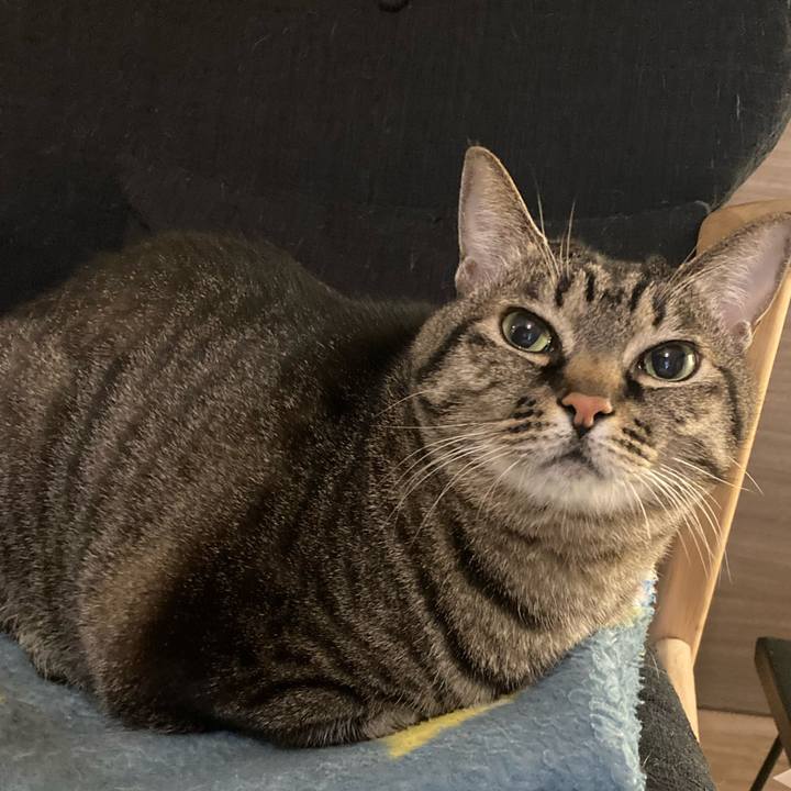 Bbdf8c8b 5f06 4c75 85eb a2a13c8a50ae 1671797252663