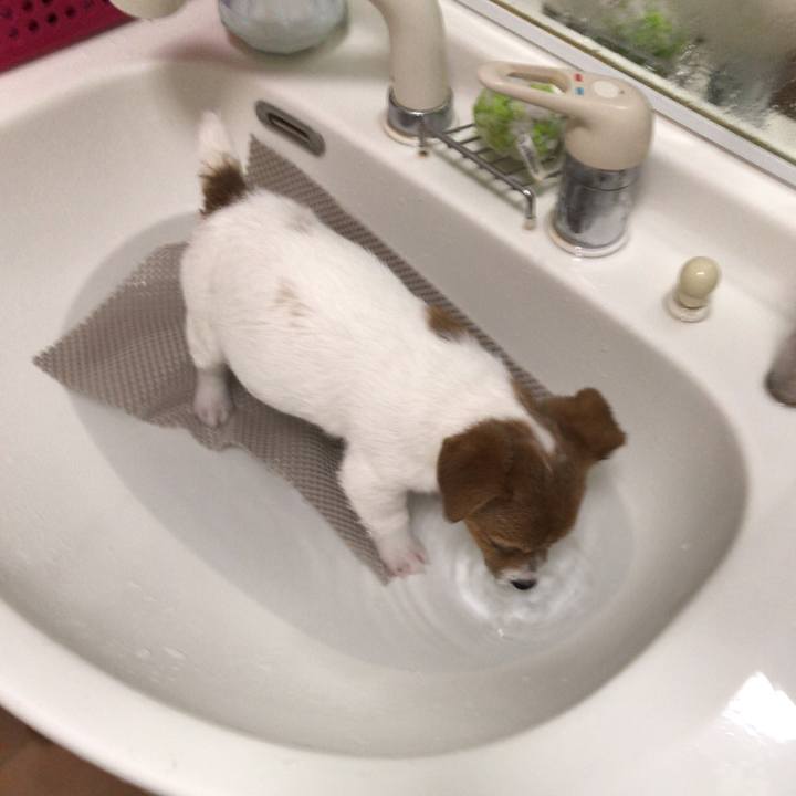 Bbdf9313 6341 41c9 b60c d315a7e53242 1544492999767