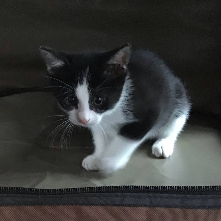 Bbdfa913 7306 4522 a78f 76c8b2331581 1624344012041