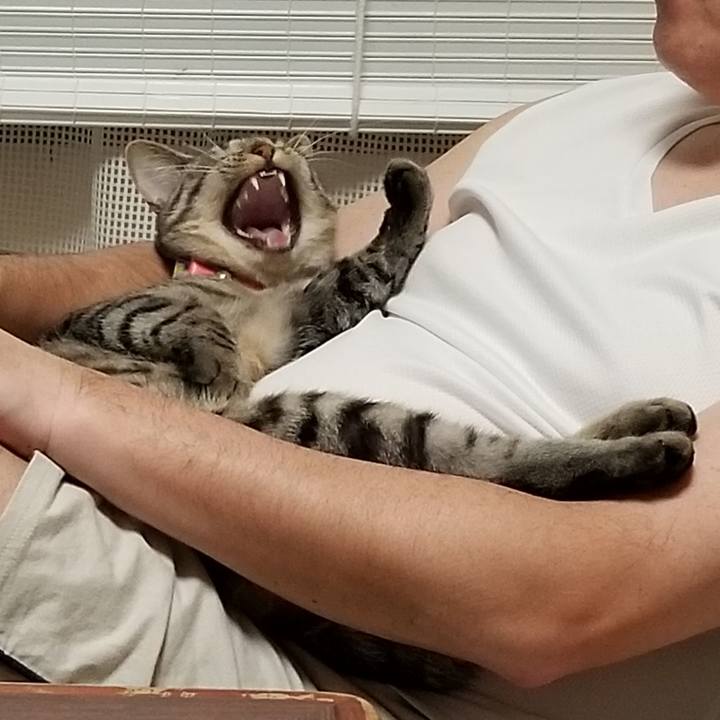 Bbdfaf1b b01e 45f3 8f15 872c13d5ff2d 1680177975021