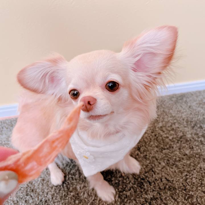 Bbe00b14 151e 4735 9891 18b91dc351f9 1654409610126