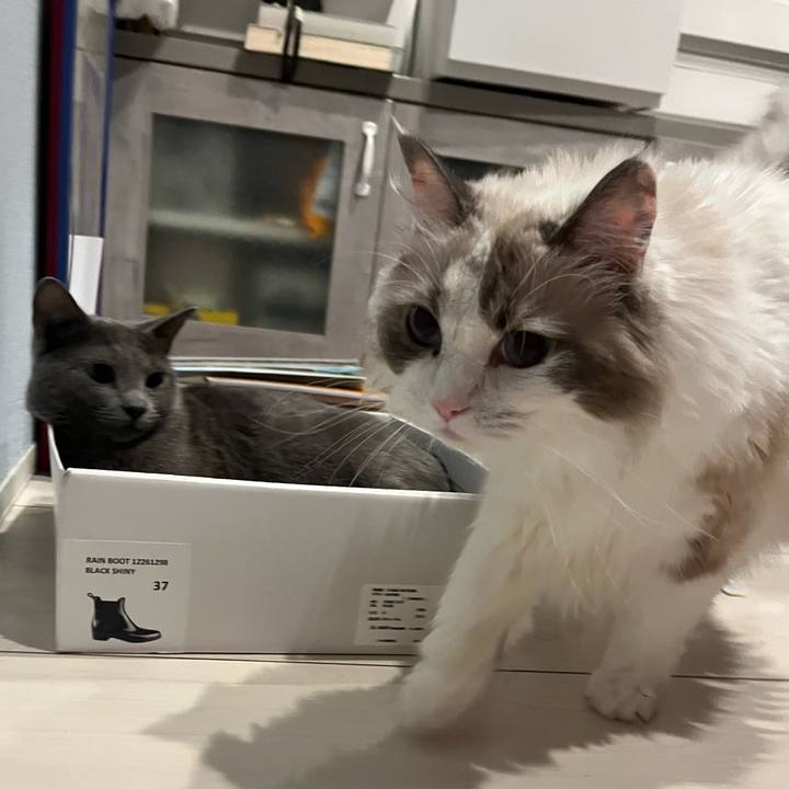 Bbe021f2 1709 4f9c b0f9 703fcc84c093 1758424547637