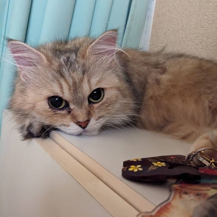 Bbe0279e 6b13 44cd 9fa5 7c289baa6d5e 1691364477981