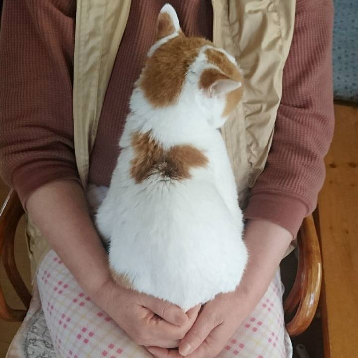 Bbe05c7a a419 472e 9a4e 65e7d019f6db 1556921955389