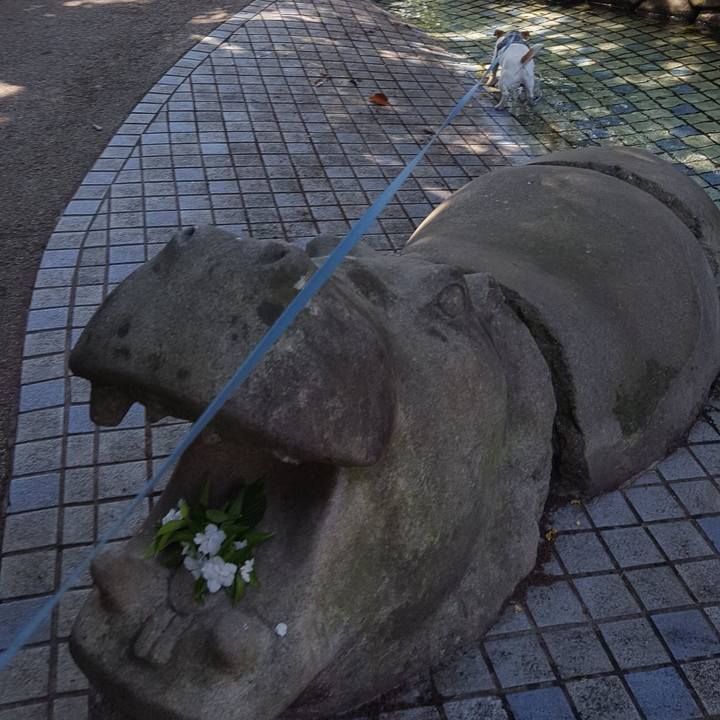 Bbe06050 d582 4173 a237 623849ff6038 1558232508726