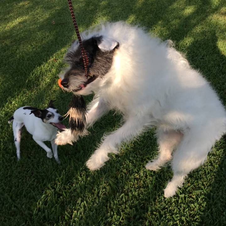 Bbe0752c 7d9f 4ea7 a7fc e231462cd7ae 1571349071744